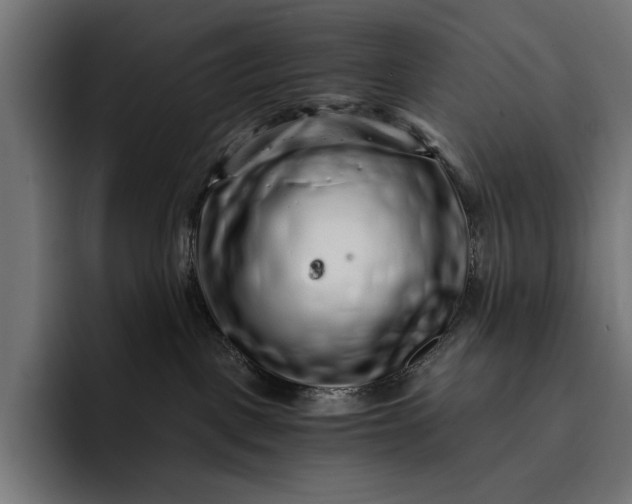 X0000093120093200710101048