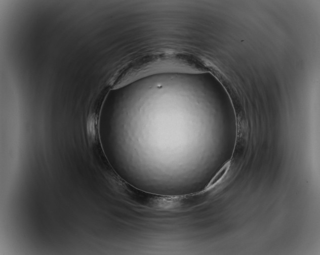 X0000093120094200710101048