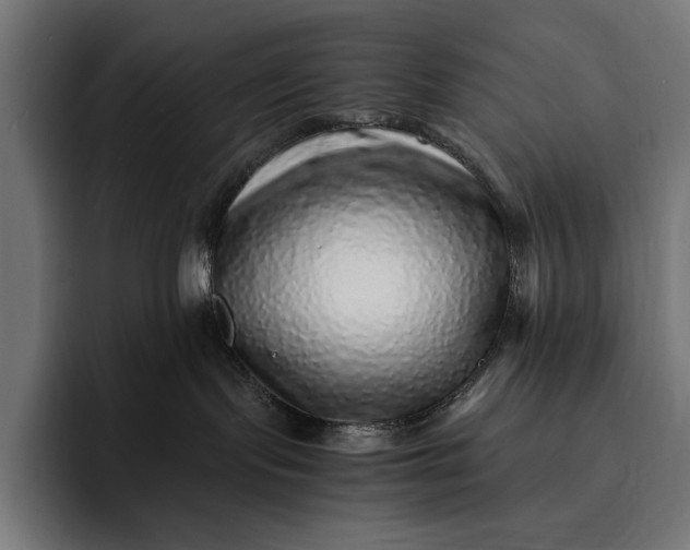 X0000093120095200710101048