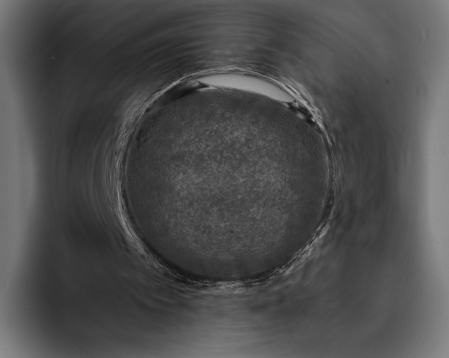 X0000093120097200710101048