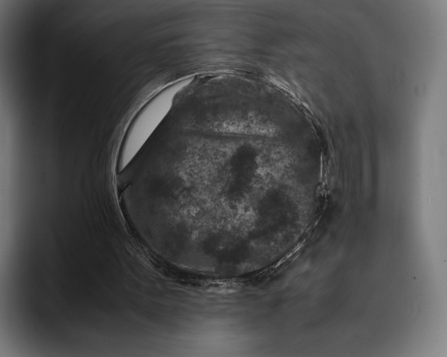 X0000093120099200710101048