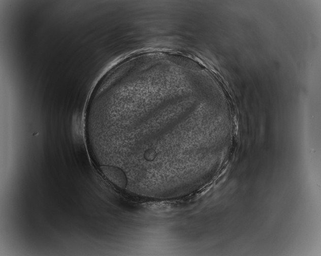 X0000093120100200710101048