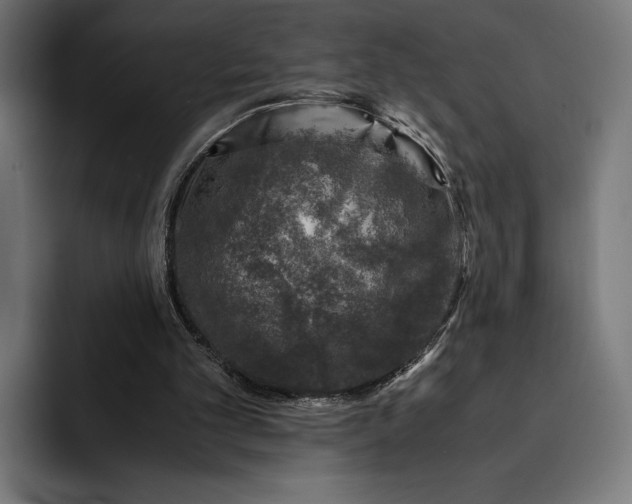 X0000093120101200710101048