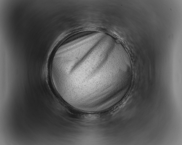 X0000093120102200710101048