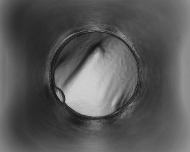 X0000093120103200710101048