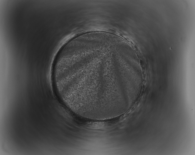 X0000093120104200710101048