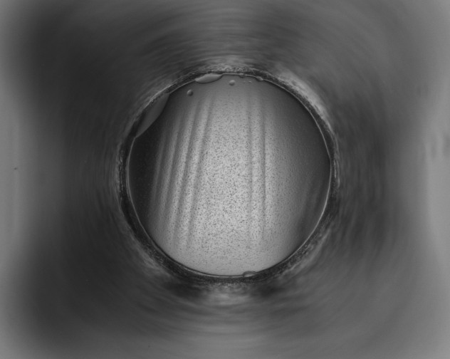 X0000093120105200710101048