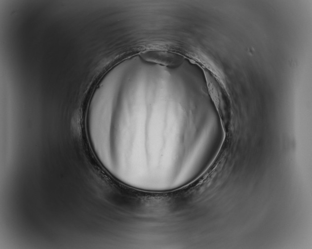 X0000093120107200710101048