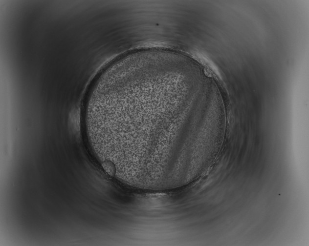 X0000093120108200710101048