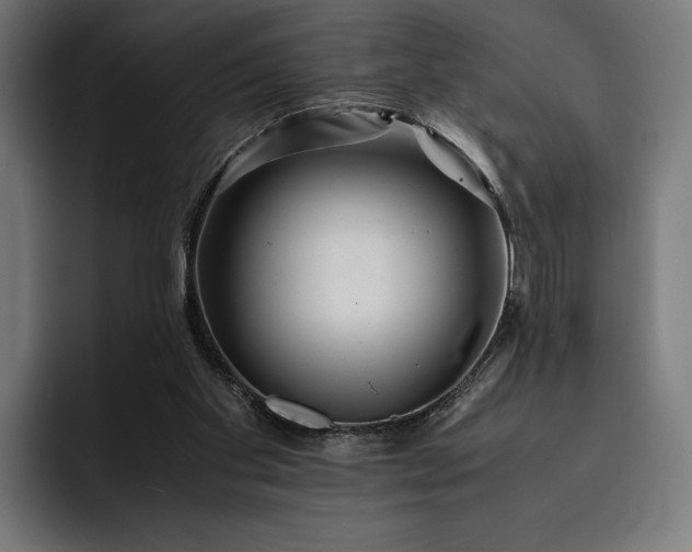 X0000093120109200710101048