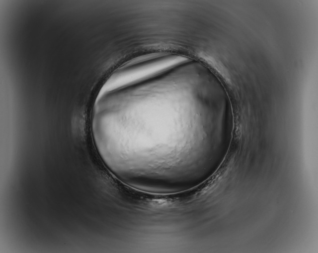 X0000093120111200710101047