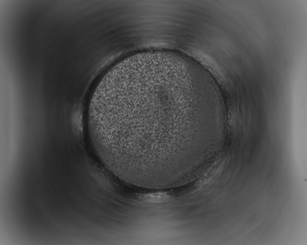 X0000093120112200710101047