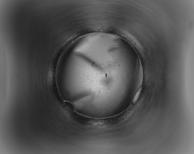 X0000093120113200710101047