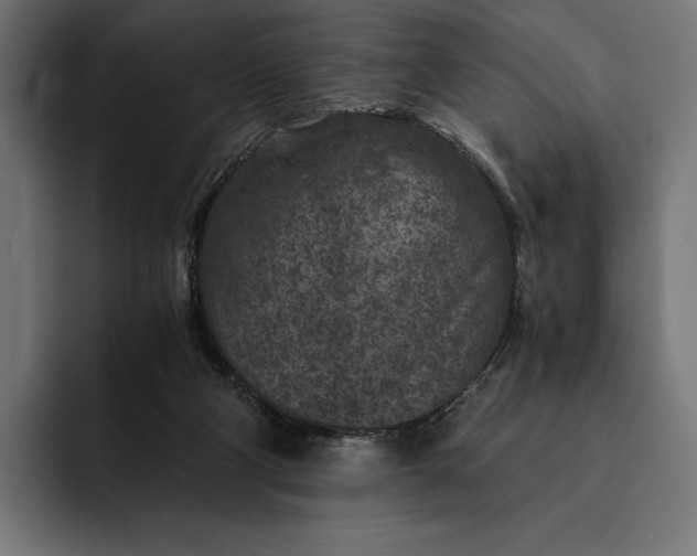 X0000093120114200710101047