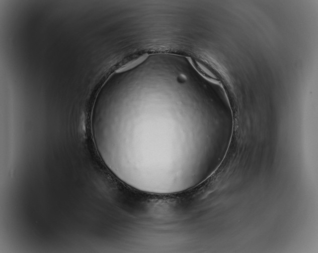 X0000093120115200710101047