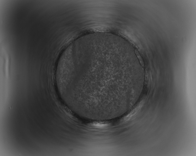 X0000093120117200710101047