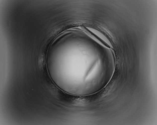 X0000093120119200710101047