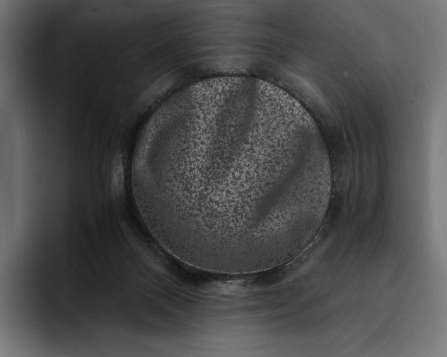 X0000093120120200710101047