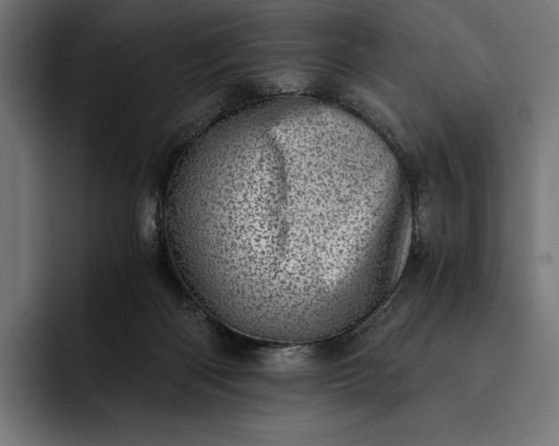 X0000093120122200710101047