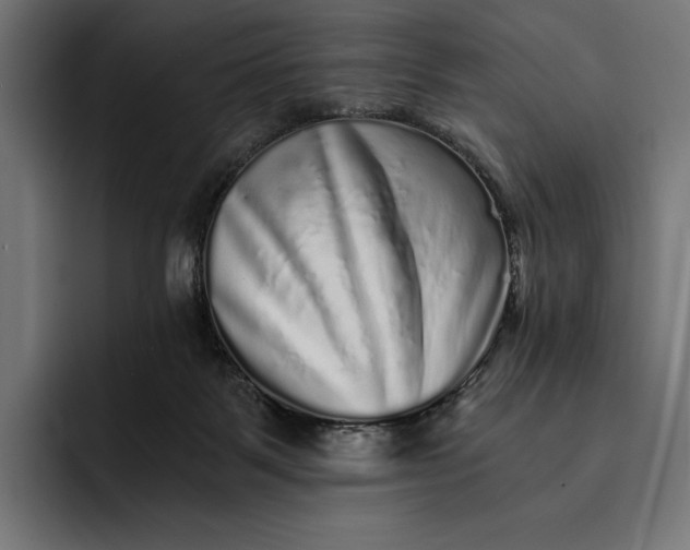 X0000093120123200710101047