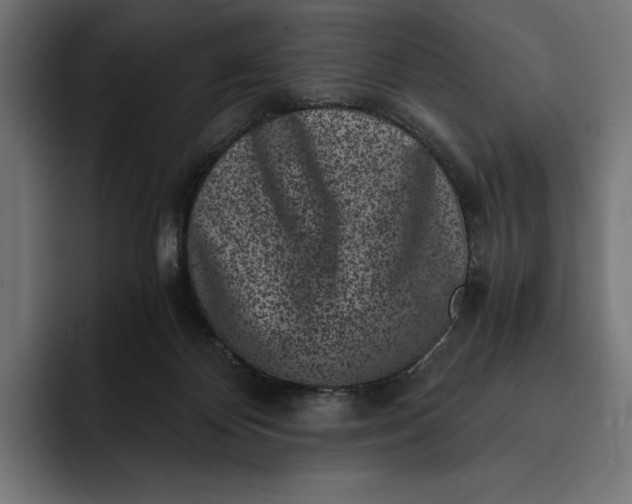 X0000093120124200710101047