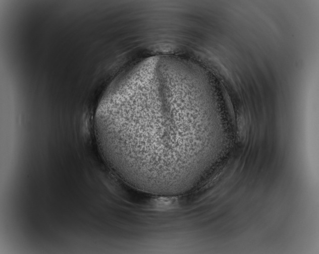 X0000093120126200710101047