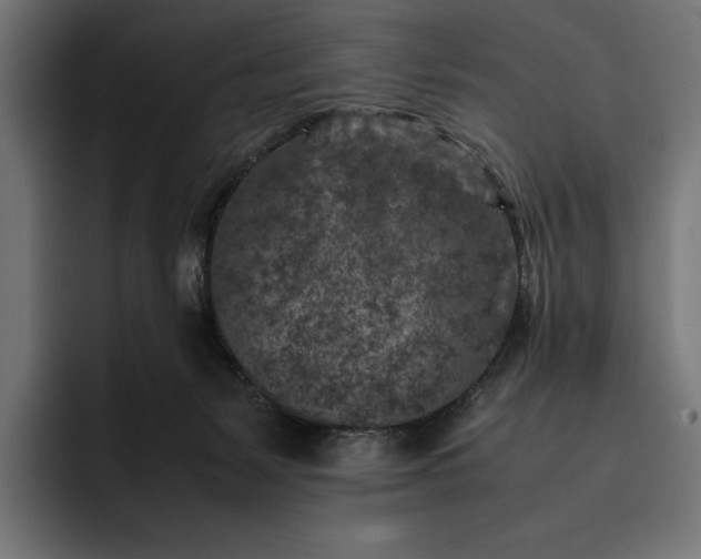 X0000093120127200710101047