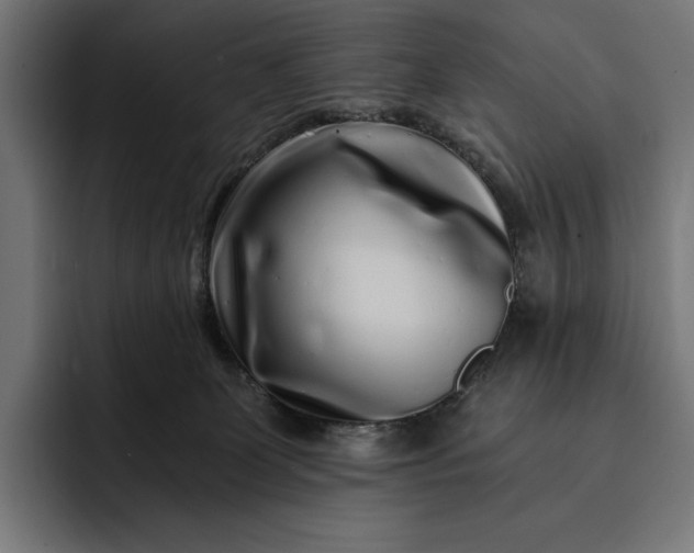 X0000093120131200710101047