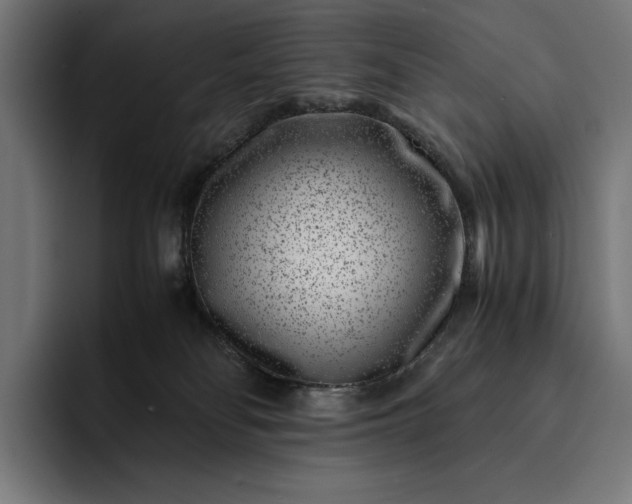 X0000093120134200710101047