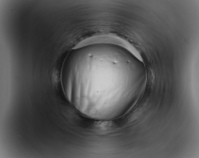 X0000093120135200710101047