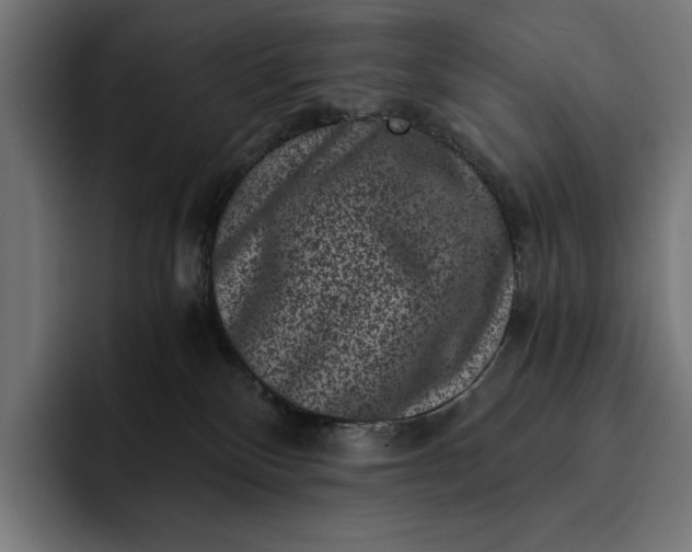 X0000093120136200710101047