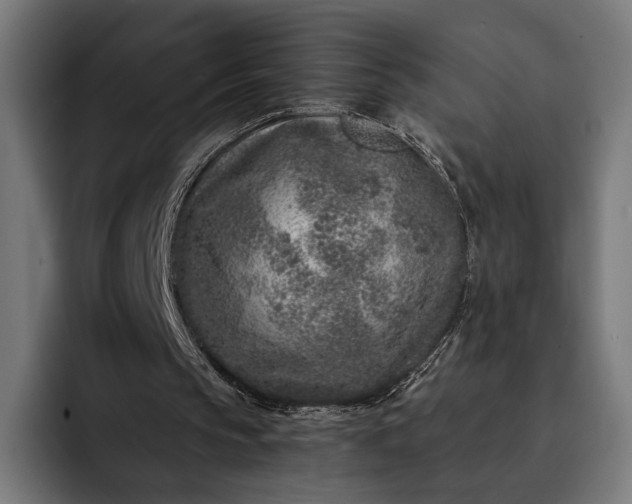 X0000093120145200710101047