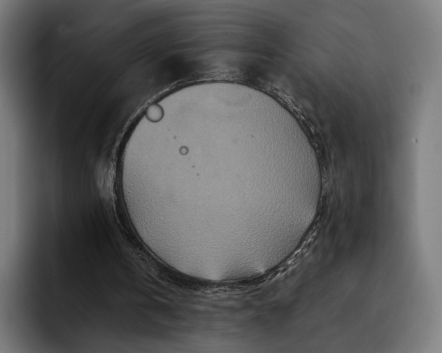 X0000093120146200710101047