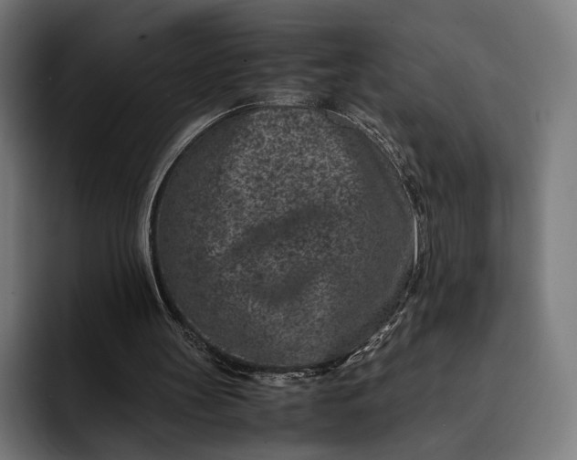 X0000093120147200710101047