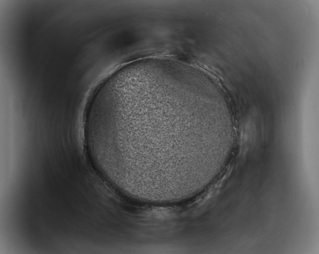 X0000093120149200710101047