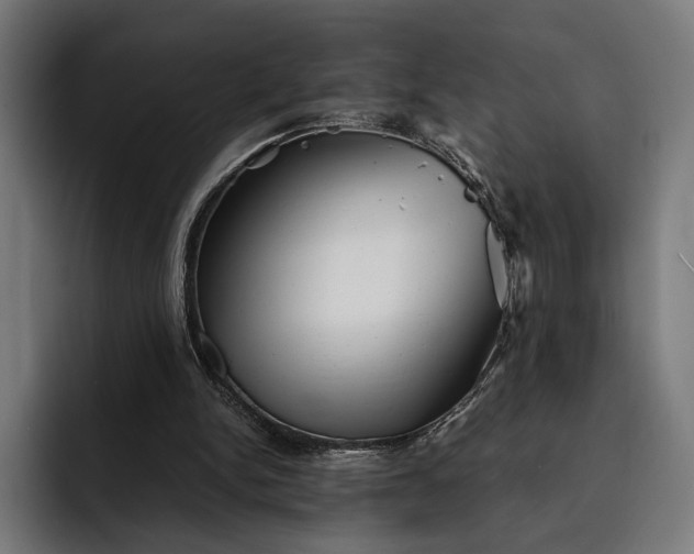 X0000093120150200710101047