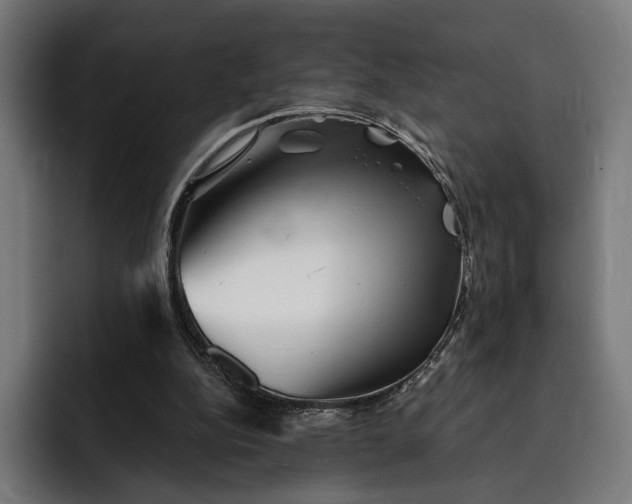 X0000093120152200710101047