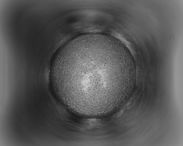 X0000093120153200710101047