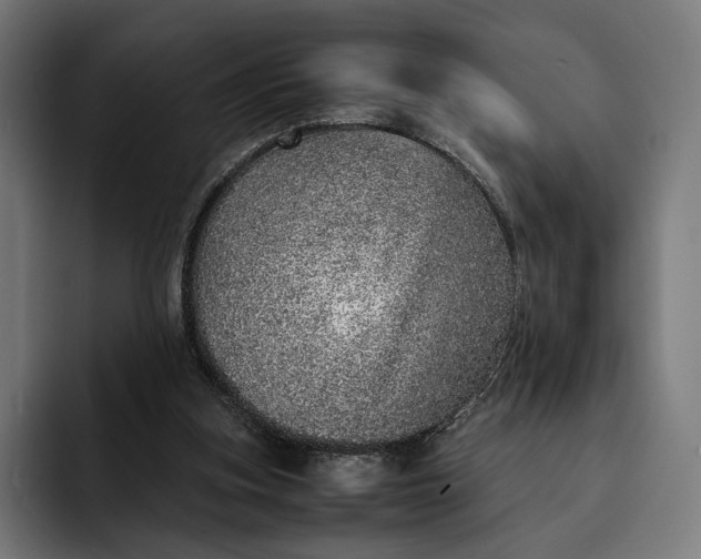 X0000093120155200710101047