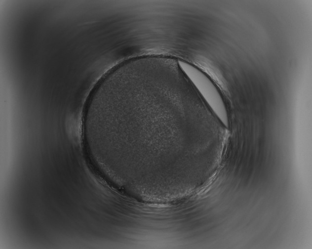 X0000093120156200710101047