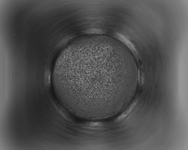 X0000093120157200710101047