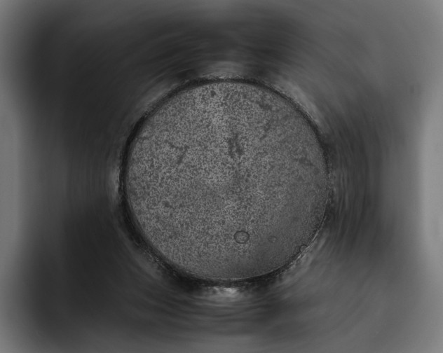 X0000093120159200710101047