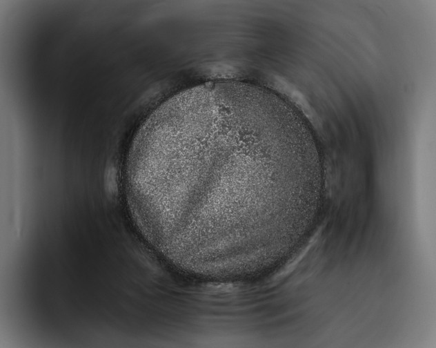 X0000093120161200710101047