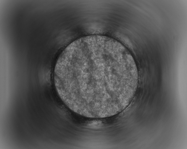 X0000093120162200710101047