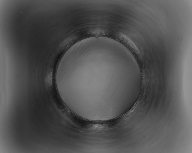 X0000093120163200710101047