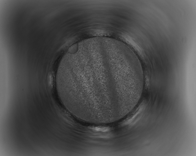 X0000093120165200710101047