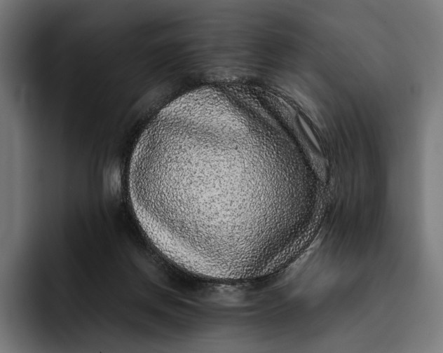 X0000093120166200710101047