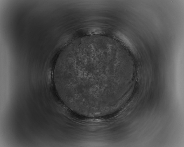 X0000093120169200710101047