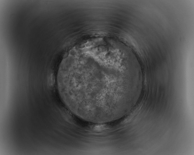 X0000093120173200710101047