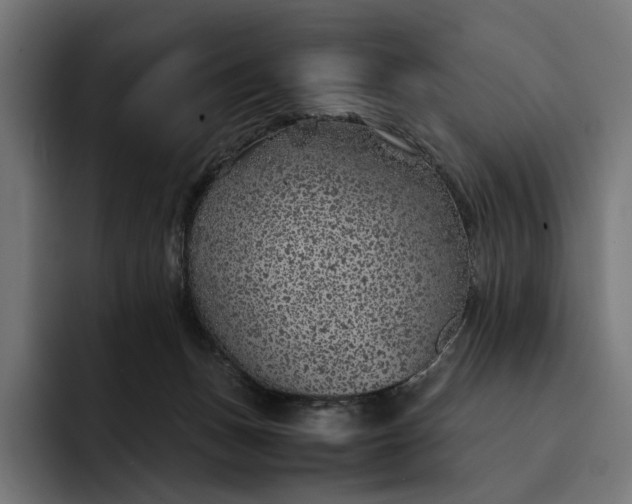 X0000093120175200710101047